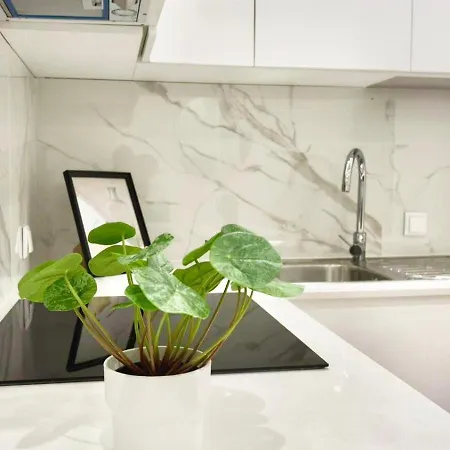 Apartment Luxury Flat In Lisbon, Ideal For Tourists Lisbon